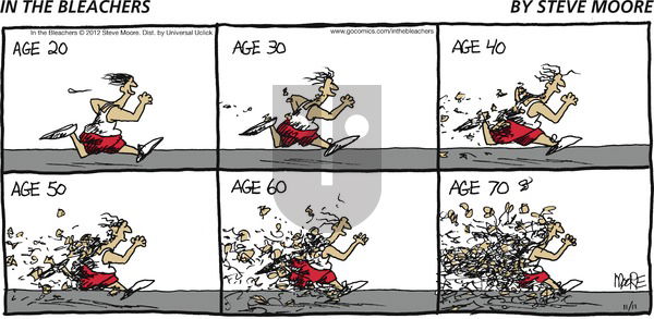 In the Bleachers on Sunday November 11, 2012 Comic Strip