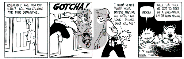 Calvin and Hobbes on Friday February 17, 1989 Comic Strip