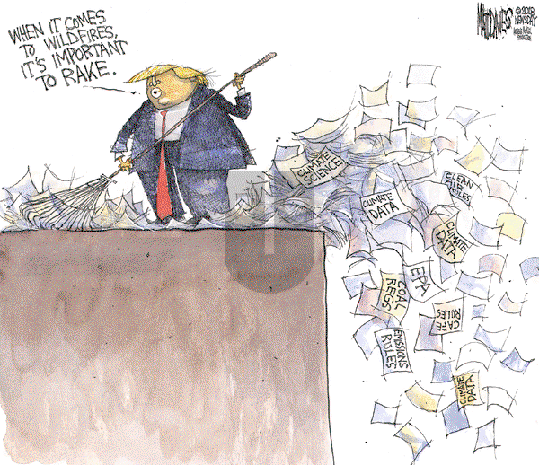 Matt Davies on Tuesday November 20, 2018 Comic Strip