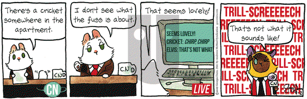 Breaking Cat News on Monday September 2, 2019 Comic Strip