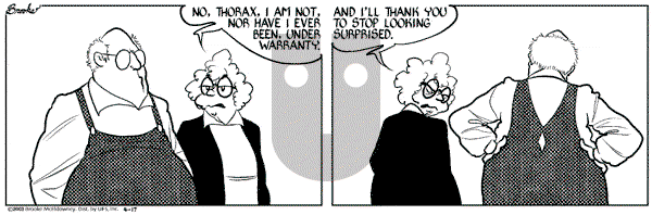 9 Chickweed Lane on Thursday April 17, 2003 Comic Strip