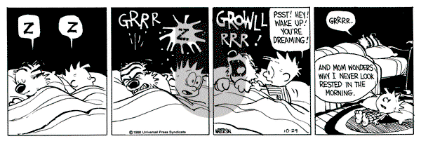 Calvin and Hobbes on Saturday October 29, 1988 Comic Strip