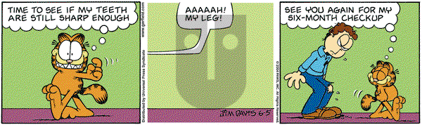 Garfield on Saturday June 5, 2004 Comic Strip