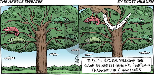 The Argyle Sweater on Sunday March 11, 2012 Comic Strip