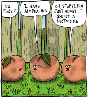 The Argyle Sweater on Monday September 21, 2015 Comic Strip