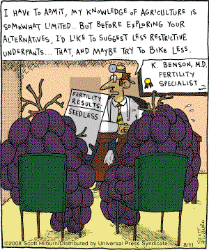 The Argyle Sweater - Monday August 11, 2008 Comic Strip