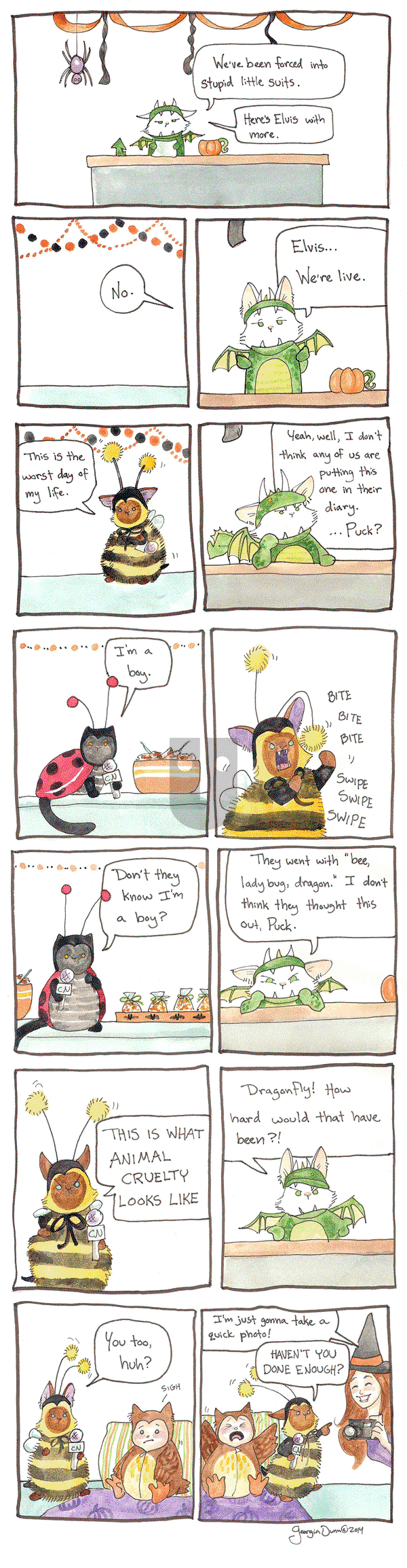 Breaking Cat News on Monday May 25, 2015 Comic Strip