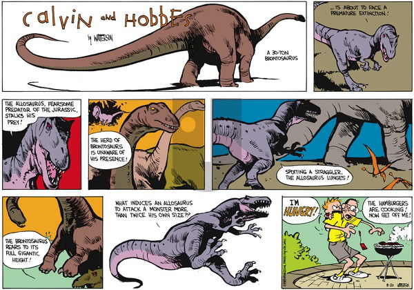 Calvin and Hobbes on Sunday August 20, 1989 Comic Strip