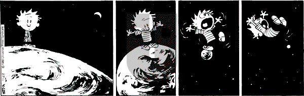 Calvin and Hobbes - Tuesday November 28, 1989 Comic Strip