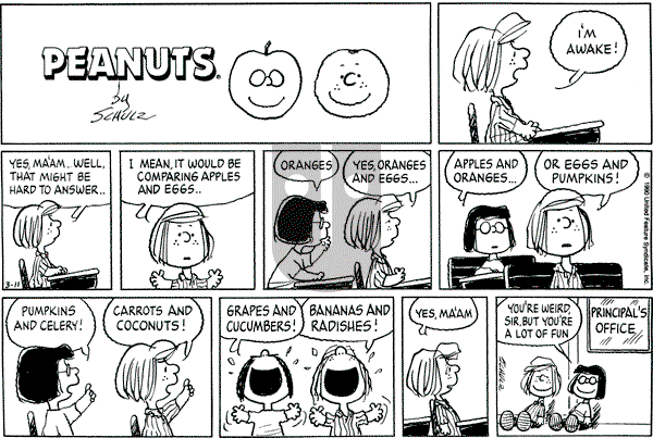 Peanuts - Sunday March 11, 1990 Comic Strip