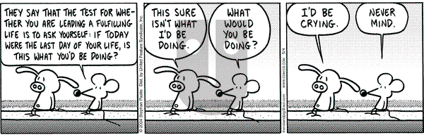 Pearls Before Swine on Tuesday May 4, 2004 Comic Strip