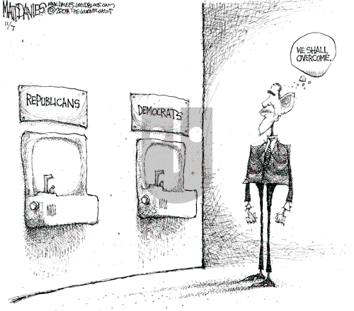 Matt Davies on Friday November 7, 2008 Comic Strip