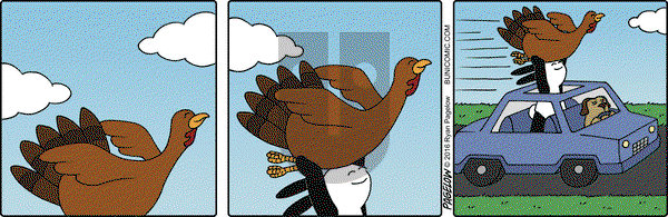 Buni on Monday November 21, 2016 Comic Strip