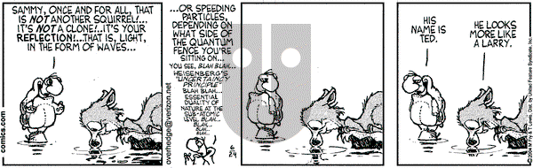 Over the Hedge on Thursday June 24, 2004 Comic Strip