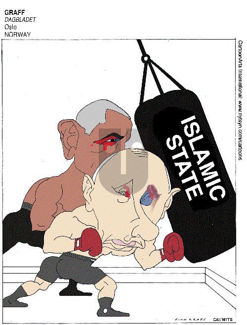 Views of the World on Sunday December 6, 2015 Comic Strip