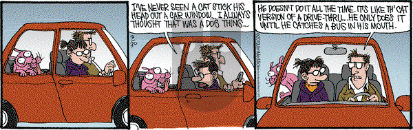 Monty on Saturday March 30, 2019 Comic Strip