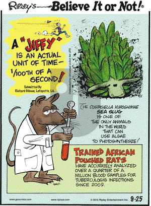 Ripley's Believe It or Not on Friday September 25, 2015 Comic Strip
