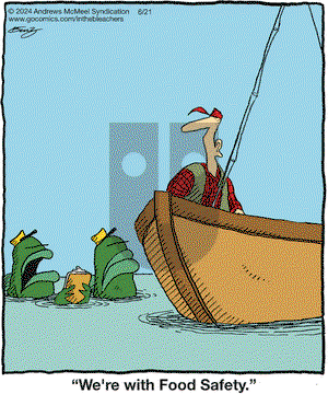 In the Bleachers - Friday June 21, 2024 Comic Strip