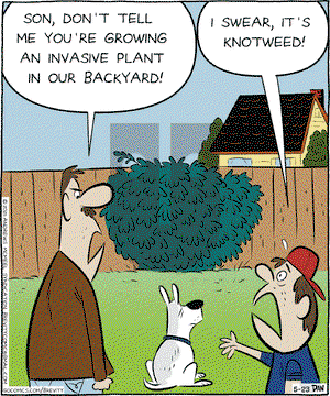 Brevity on Friday May 23, 2025 Comic Strip