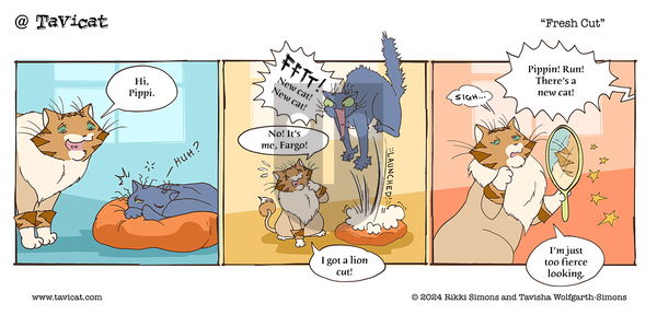 @Tavicat on Wednesday July 10, 2024 Comic Strip