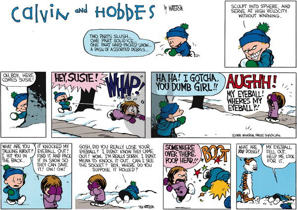Calvin and Hobbes on Sunday January 10, 1988 Comic Strip