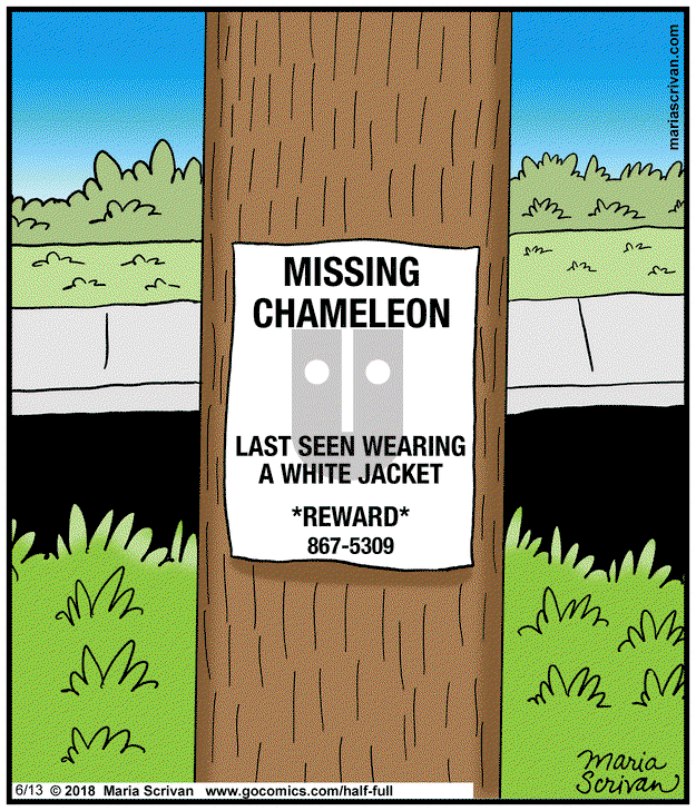 Half Full on Friday June 13, 2025 Comic Strip