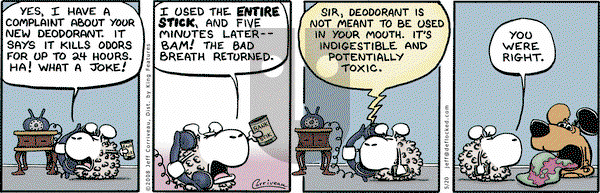 DeFlocked - Tuesday May 20, 2008 Comic Strip