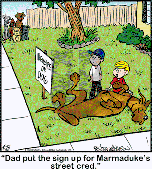 Marmaduke on Wednesday February 21, 2018 Comic Strip