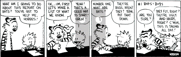 Calvin and Hobbes - Monday October 30, 1989 Comic Strip