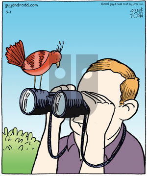 Brevity on Tuesday September 1, 2009 Comic Strip