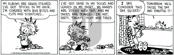 Calvin and Hobbes on Thursday July 15, 1993 Comic Strip