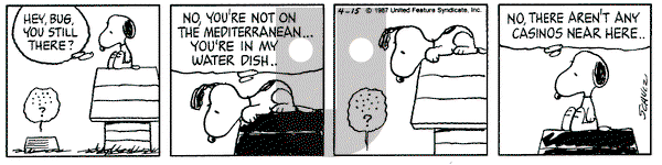 Peanuts on Saturday October 24, 1992 Comic Strip