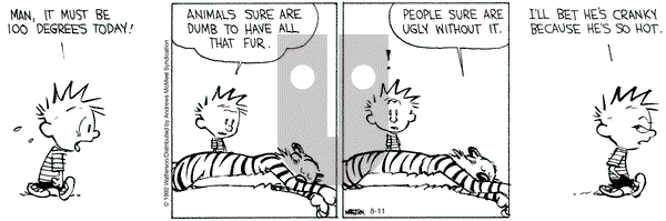 Calvin and Hobbes - Thursday August 11, 2022 Comic Strip