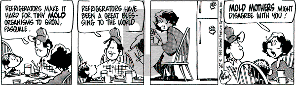 Rose is Rose on Saturday February 8, 1992 Comic Strip