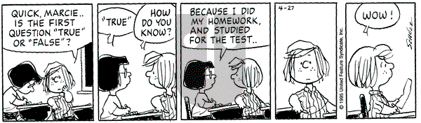 Peanuts on Thursday April 27, 1995 Comic Strip