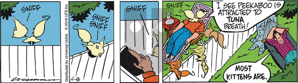 Rose is Rose on Friday April 8, 2016 Comic Strip