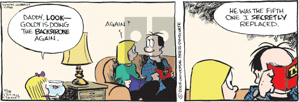 Adam@Home on Saturday May 28, 2005 Comic Strip