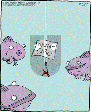 In the Bleachers on Monday April 8, 2019 Comic Strip