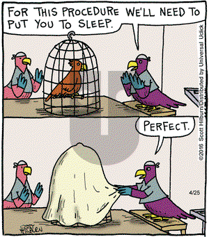 The Argyle Sweater on Monday April 25, 2016 Comic Strip