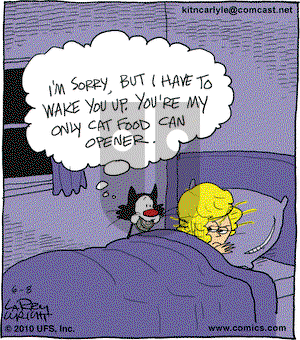 Kit 'N' Carlyle on Tuesday June 8, 2010 Comic Strip