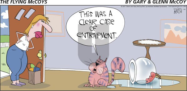 The Flying McCoys on Sunday July 9, 2017 Comic Strip