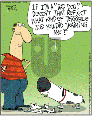 The Flying McCoys on Friday March 16, 2018 Comic Strip