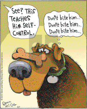 The Flying McCoys on Saturday June 7, 2014 Comic Strip