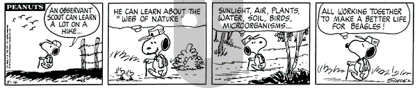 Peanuts on Thursday May 16, 1974 Comic Strip