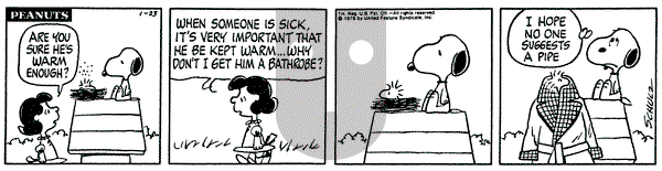 Peanuts on Friday January 23, 1976 Comic Strip