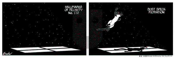 9 Chickweed Lane on Tuesday August 12, 2003 Comic Strip