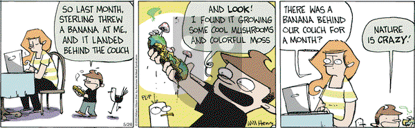 Wallace the Brave on Monday May 26, 2025 Comic Strip