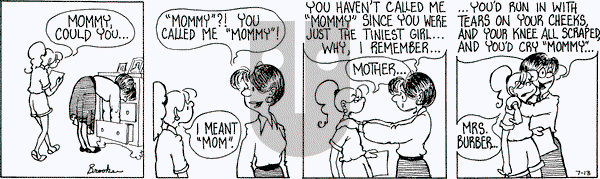 9 Chickweed Lane - Tuesday July 13, 1993 Comic Strip