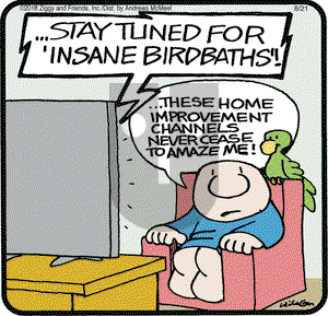 Ziggy on Tuesday August 21, 2018 Comic Strip