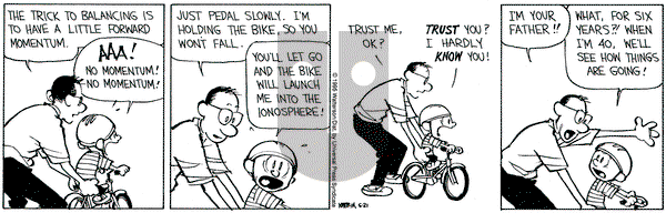 Calvin and Hobbes on Wednesday June 21, 1995 Comic Strip